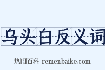 乌头白反义词是什么意思的图片